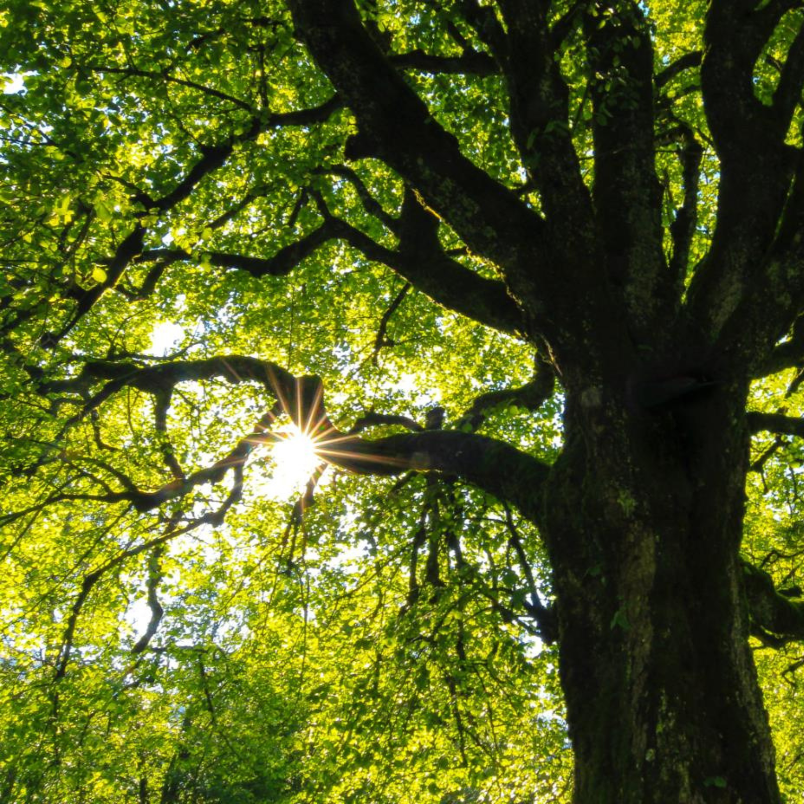 (1640 x 1000 - 1640 x 1640)-2